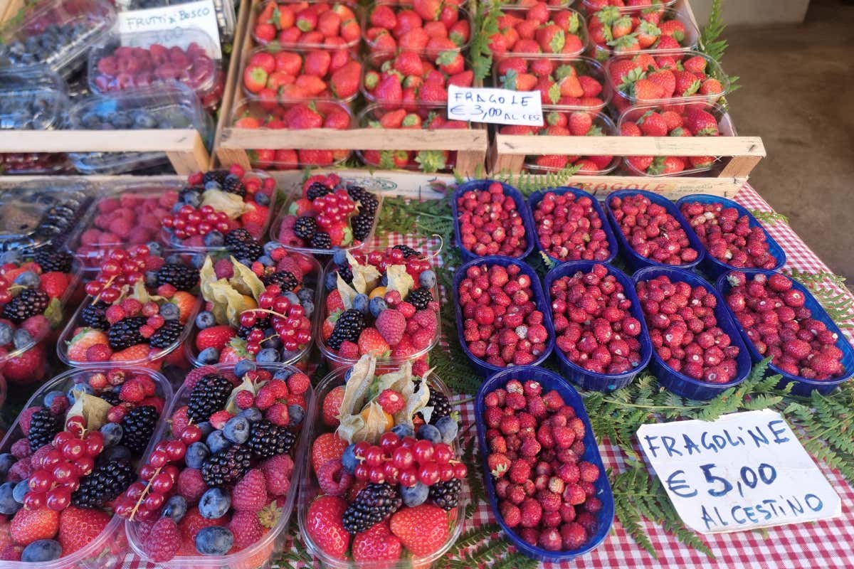 Via Francigena nel Lazio: un viaggio lento tra borghi, laghi,  mare e sapori veri